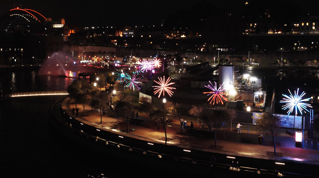 electric, dandelions, light, installation, fireworks, vivid, sydney, 2026