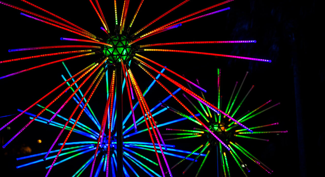 electric, dandelions, light, installation, fireworks, vivid, sydney, 2026