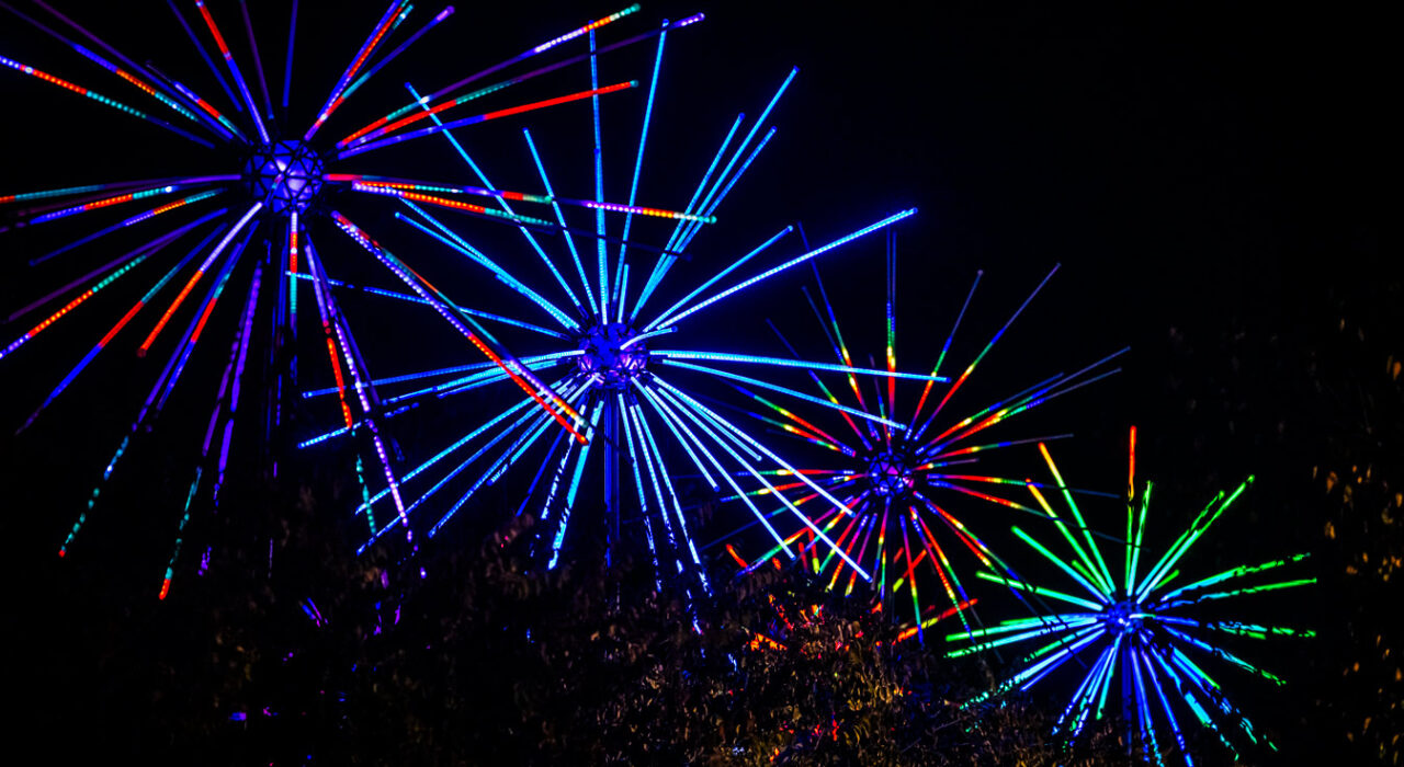 electric, dandelions, light, installation, fireworks, vivid, sydney, 2026