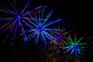 electric, dandelions, light, installation, fireworks, vivid, sydney, 2026