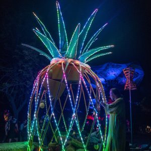 Charles Dusastre - Burning Man, LED Artist