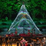 Grand Illuminations, Downtown LA, immersive, christmas, light show, light exhibit, immersive experience