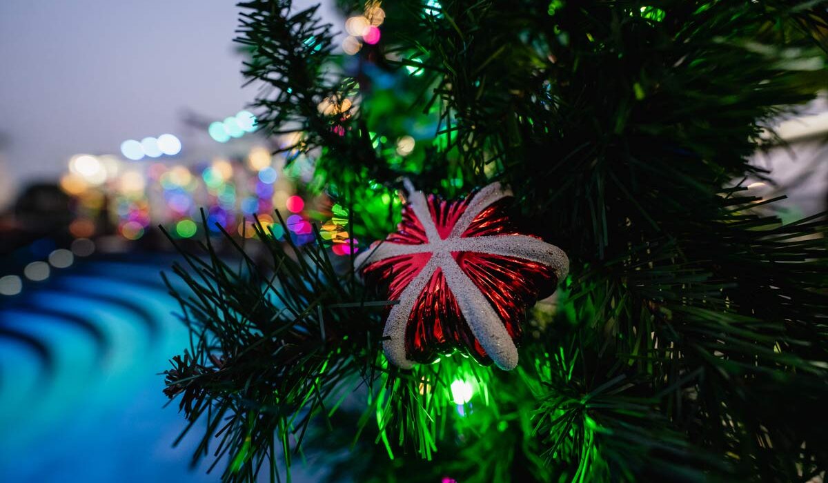 Grand Illuminations, Downtown LA, immersive, christmas, light show, light exhibit, immersive experience