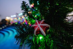 Grand Illuminations, Downtown LA, immersive, christmas, light show, light exhibit, immersive experience